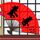 日本在外网口碑急速下降
